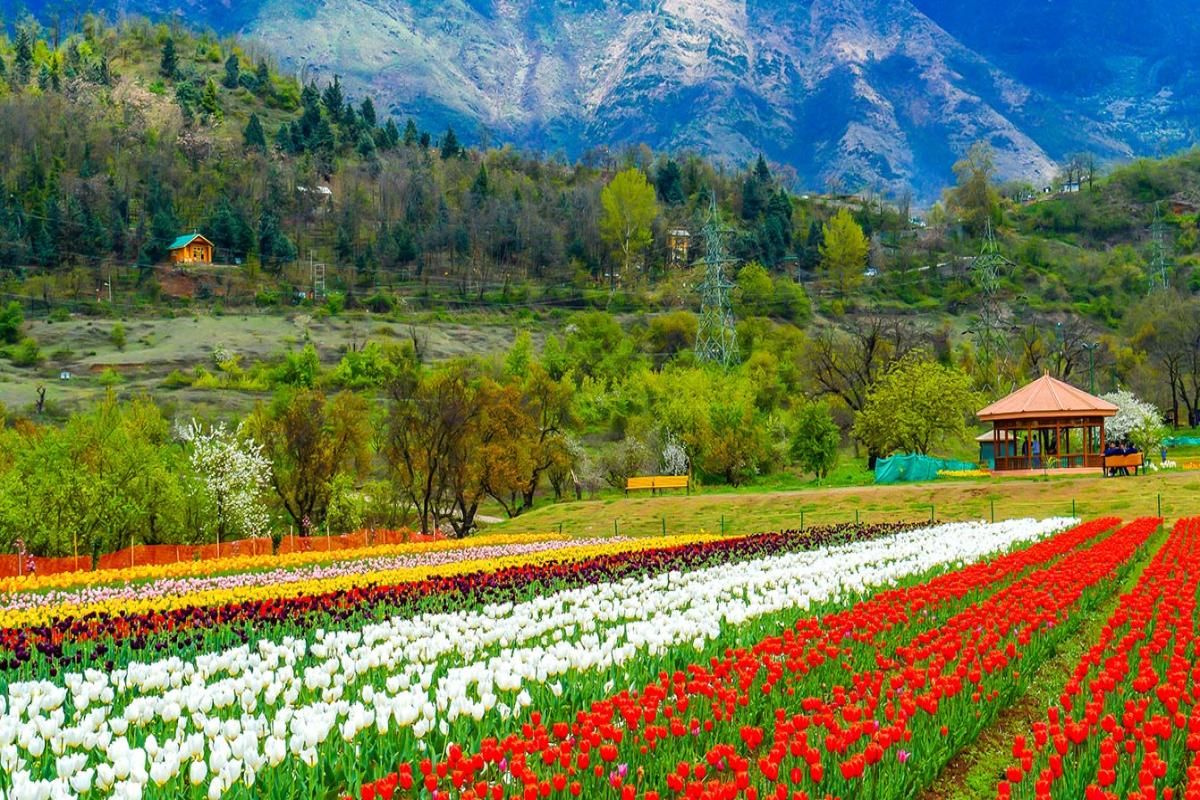 KASHMIR