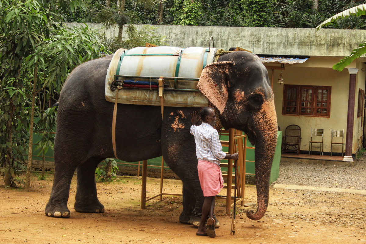 KOCHI MUNNAR ALLEPPEY