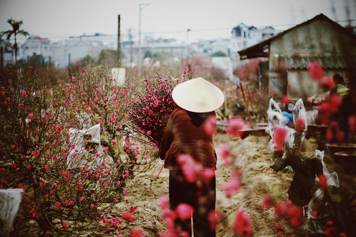 Vietnam