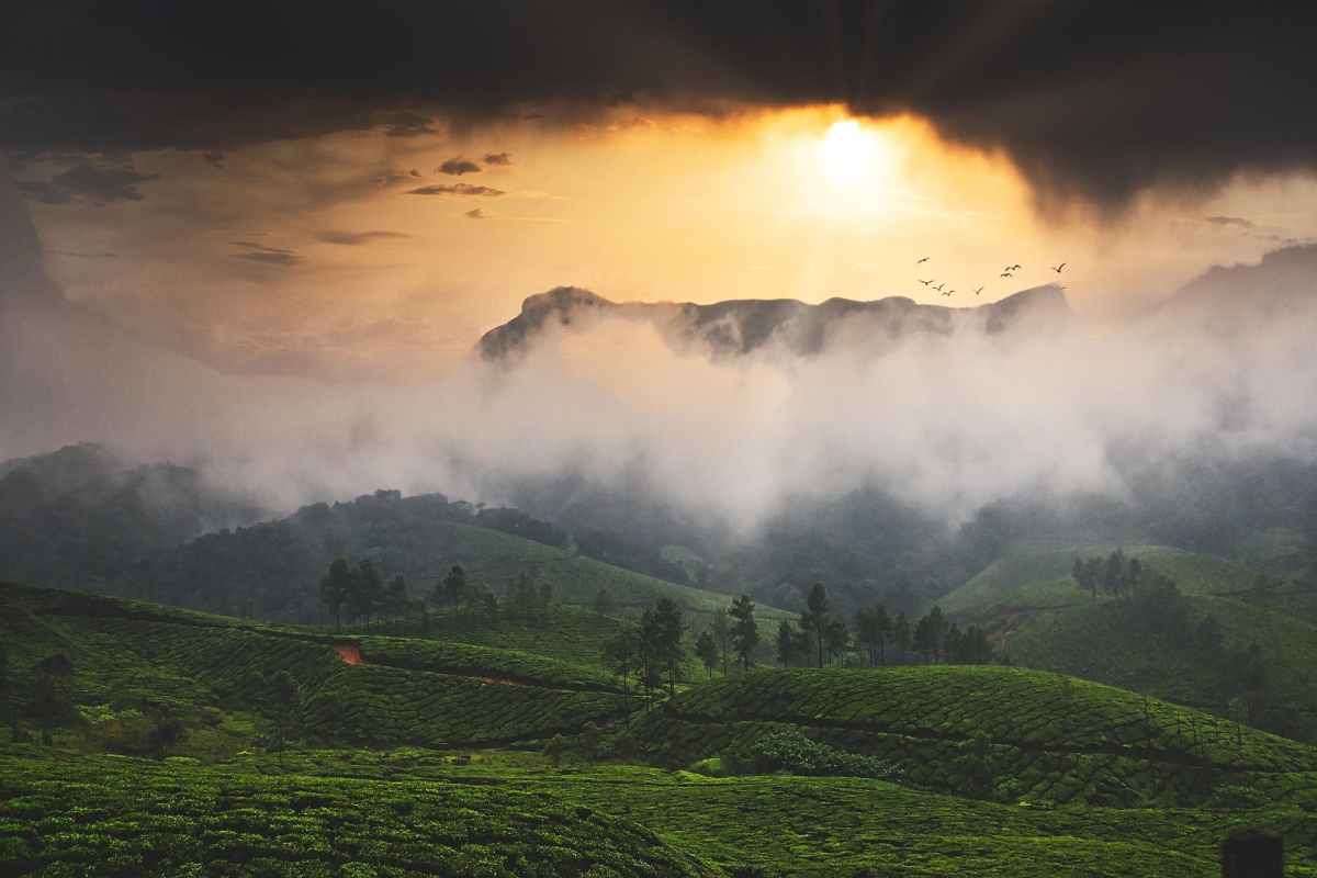 KOCHI MUNNAR ALLEPPEY